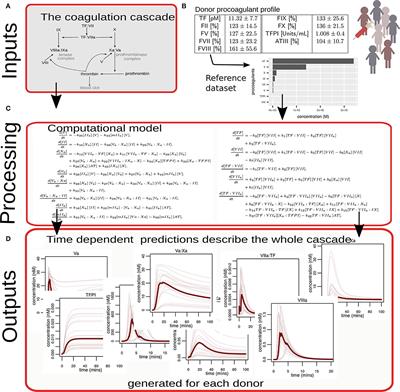 A System-Wide Investigation and Stratification of the Hemostatic Proteome in Premature Myocardial Infarction